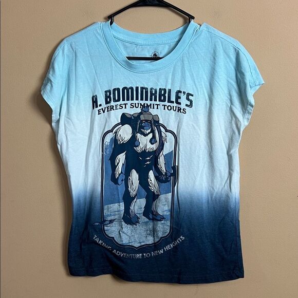 Disney Parks Size Small Blue Ombre Everest Summit Roller Coaster T-Shirt - Picture 1 of 4